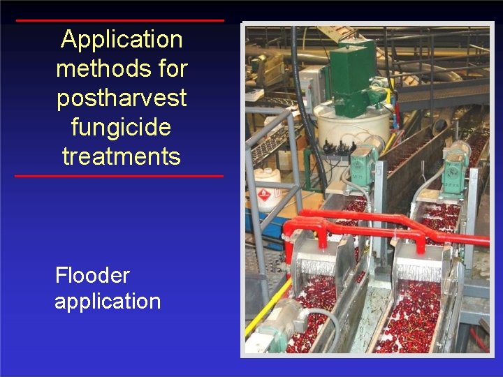 Application methods for postharvest fungicide treatments Flooder application 