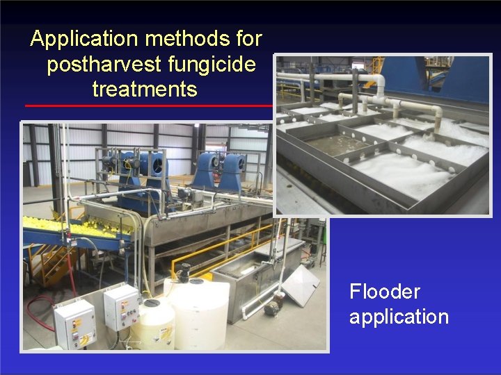 Application methods for postharvest fungicide treatments Flooder application 