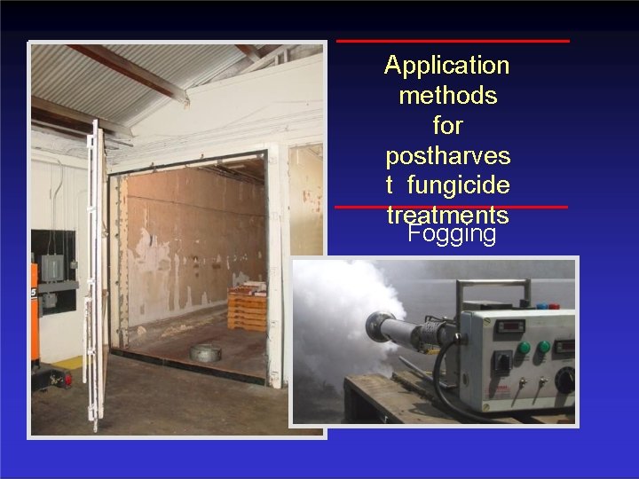 Application methods for postharves t fungicide treatments Fogging 