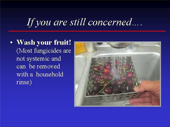 If you are still concerned…. • Wash your fruit! (Most fungicides are not systemic