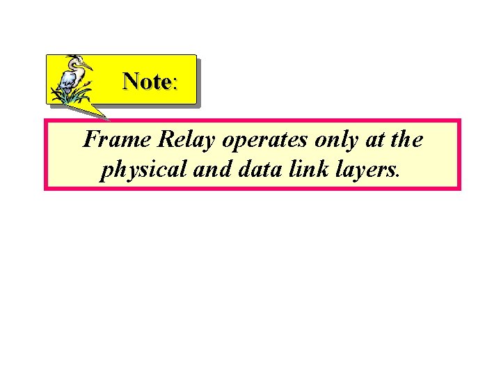 Note: Frame Relay operates only at the physical and data link layers. 