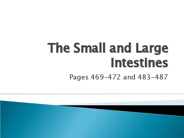 The Small and Large Intestines Pages 469 -472 and 483 -487 