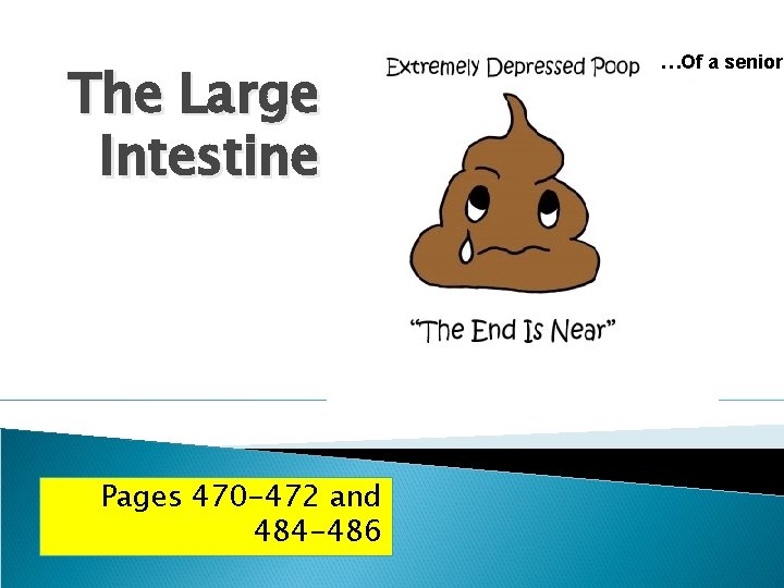 The Large Intestine Pages 470 -472 and 484 -486 …Of a senior 