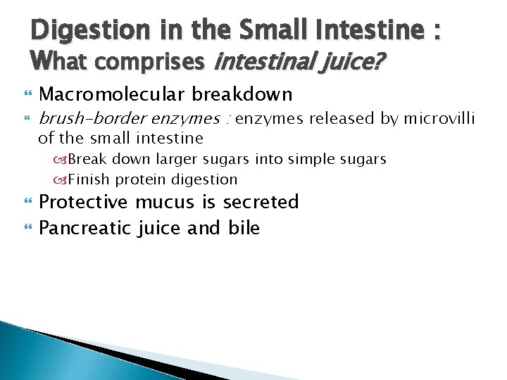 Digestion in the Small Intestine : What comprises intestinal juice? Macromolecular breakdown brush-border enzymes