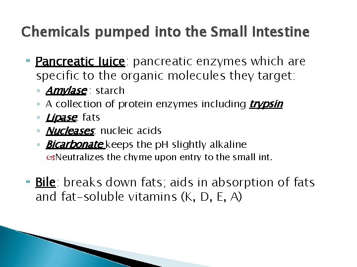 Chemicals pumped into the Small Intestine Pancreatic Juice: pancreatic enzymes which are specific to