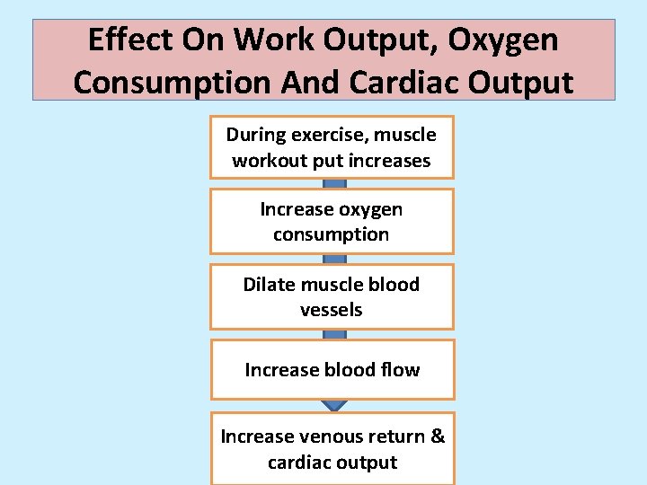 Effect On Work Output, Oxygen Consumption And Cardiac Output During exercise, muscle workout put