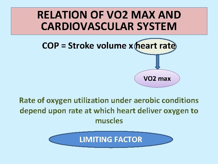 RELATION OF VO 2 MAX AND CARDIOVASCULAR SYSTEM COP = Stroke volume x heart