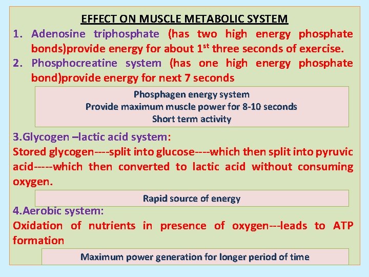 EFFECT ON MUSCLE METABOLIC SYSTEM 1. Adenosine triphosphate (has two high energy phosphate bonds)provide