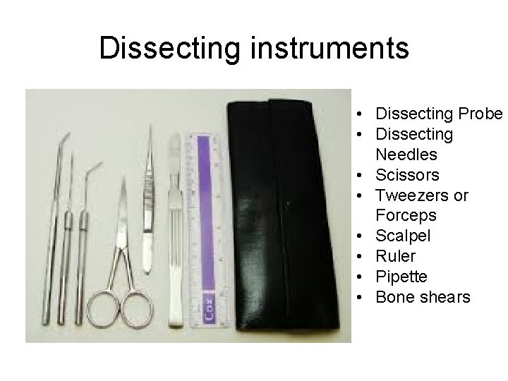 Dissecting instruments • Dissecting Probe • Dissecting Needles • Scissors • Tweezers or Forceps