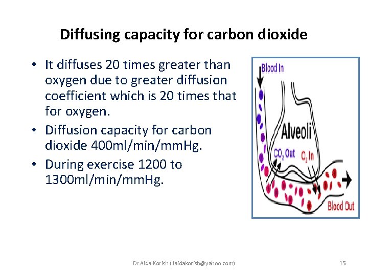 Diffusing capacity for carbon dioxide • It diffuses 20 times greater than oxygen due Diffusing capacity for carbon dioxide • It diffuses 20 times greater than oxygen due