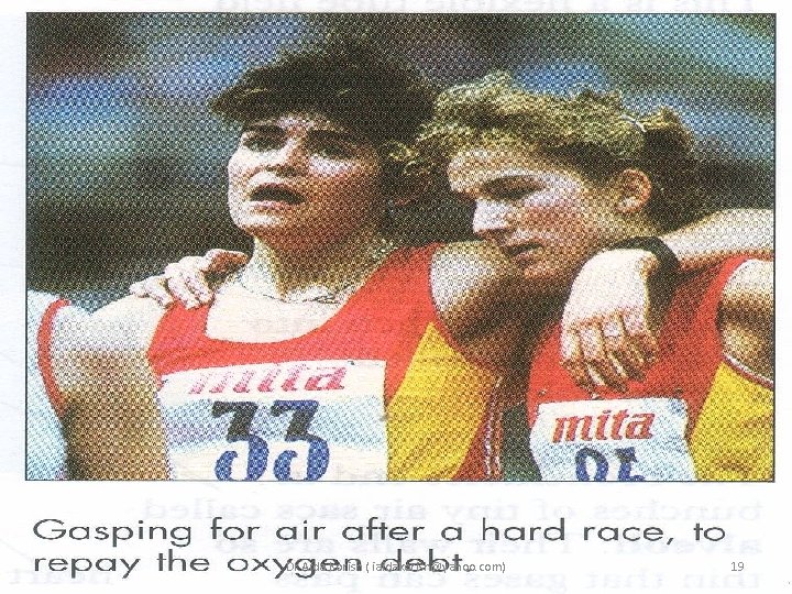 Dr. Aida Korish ( iaidakorish@yahoo. com) 19 Dr. Aida Korish ( iaidakorish@yahoo. com) 19