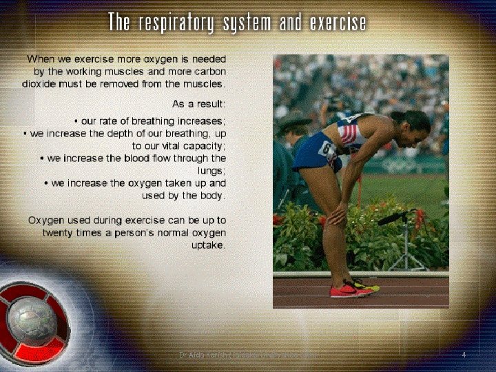 Dr. Aida Korish ( iaidakorish@yahoo. com) 4 Dr. Aida Korish ( iaidakorish@yahoo. com) 4