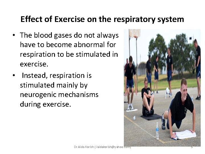 Effect of Exercise on the respiratory system • The blood gases do not always Effect of Exercise on the respiratory system • The blood gases do not always