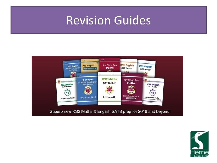 Revision Guides 