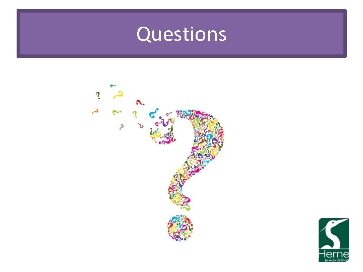 Questions 