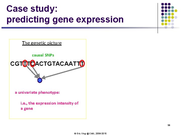 Case study: predicting gene expression The genetic picture causal SNPs CGTTTCACTGTACAATTT a univariate phenotype: Case study: predicting gene expression The genetic picture causal SNPs CGTTTCACTGTACAATTT a univariate phenotype: