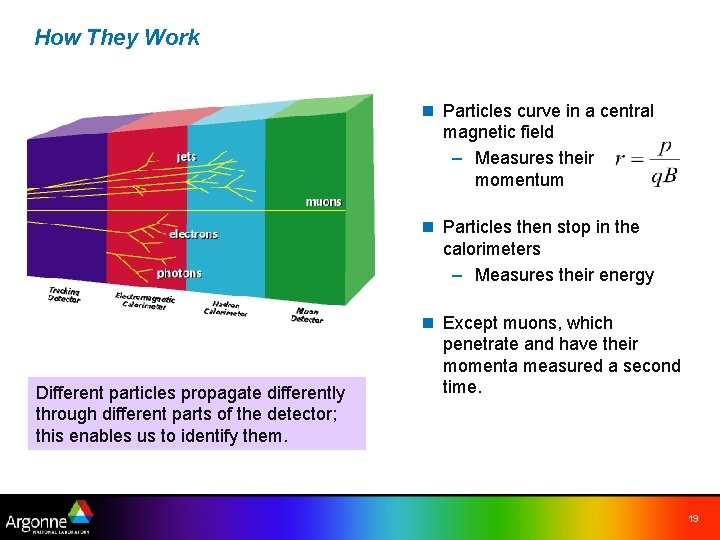 How They Work n Particles curve in a central magnetic field – Measures their