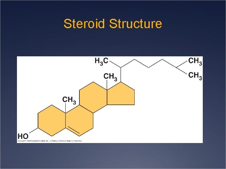 Steroid Structure 