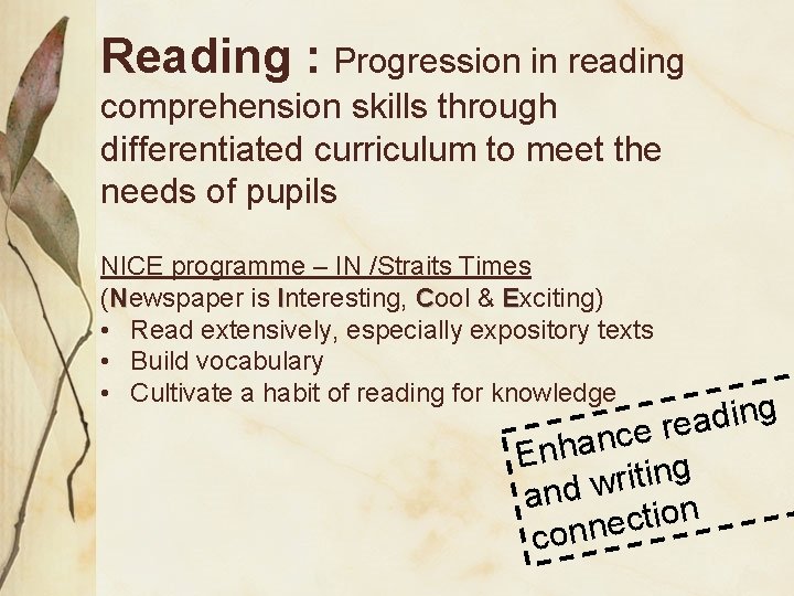 Reading : Progression in reading comprehension skills through differentiated curriculum to meet the needs
