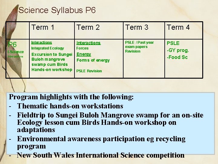 Science Syllabus P 6 Term 1 Term 2 Term 3 Term 4 P 6