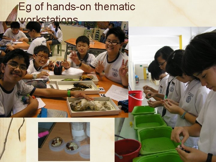 Eg of hands-on thematic workstations 