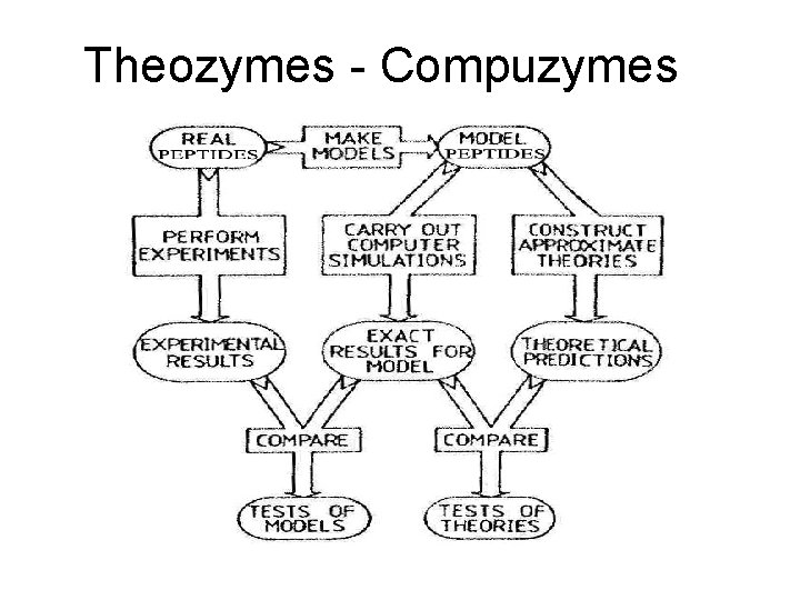 Theozymes - Compuzymes 