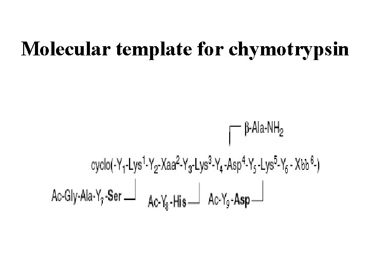 Molecular template for chymotrypsin 