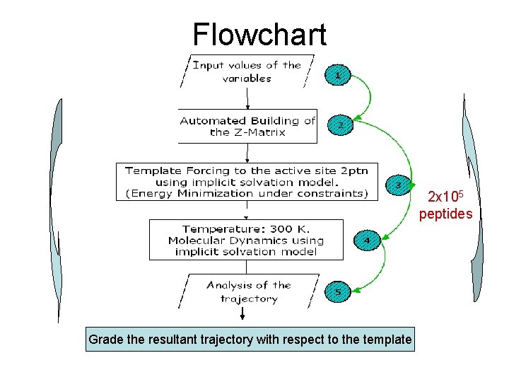 Flowchart 2 x 105 peptides Grade the resultant trajectory with respect to the template