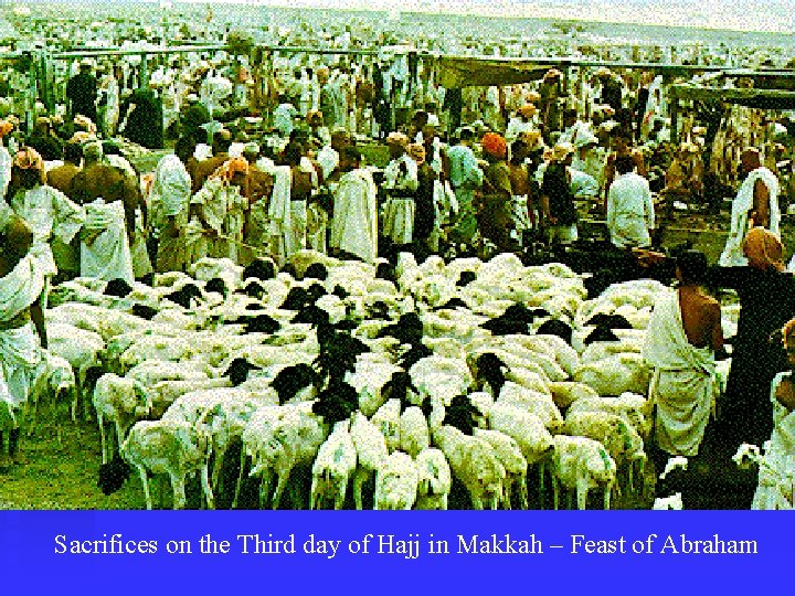 Sacrifices on the Third day of Hajj in Makkah – Feast of Abraham 