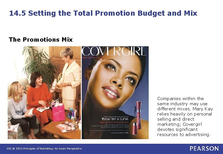 14. 5 Setting the Total Promotion Budget and Mix The Promotions Mix Companies within 14. 5 Setting the Total Promotion Budget and Mix The Promotions Mix Companies within