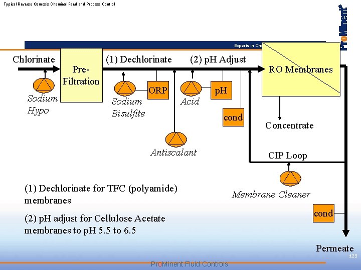 Typical Reverse Osmosis Chemical Feed and Process Control Experts in Chem-Feed and Water Treatment