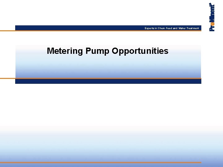 Experts in Chem-Feed and Water Treatment Metering Pump Opportunities 