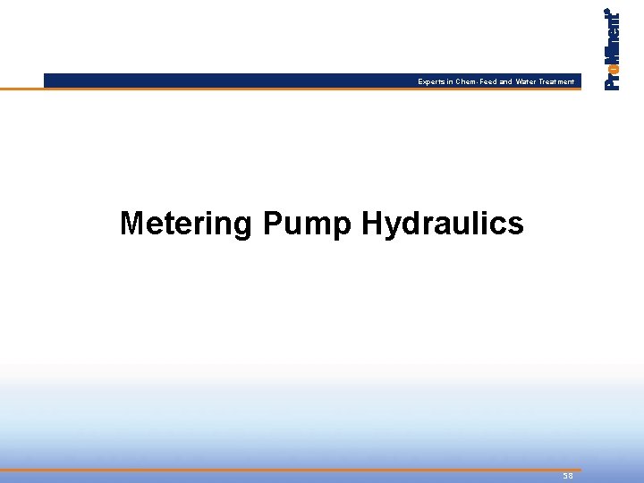 Experts in Chem-Feed and Water Treatment Metering Pump Hydraulics 58 