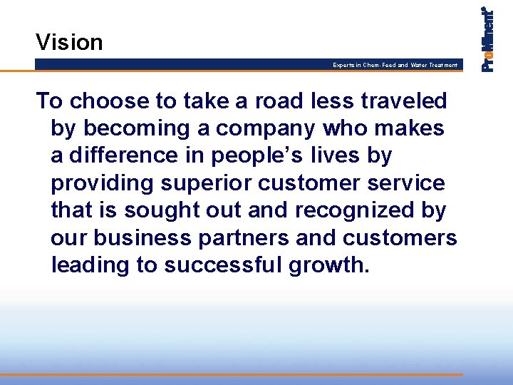 Vision Experts in Chem-Feed and Water Treatment To choose to take a road less