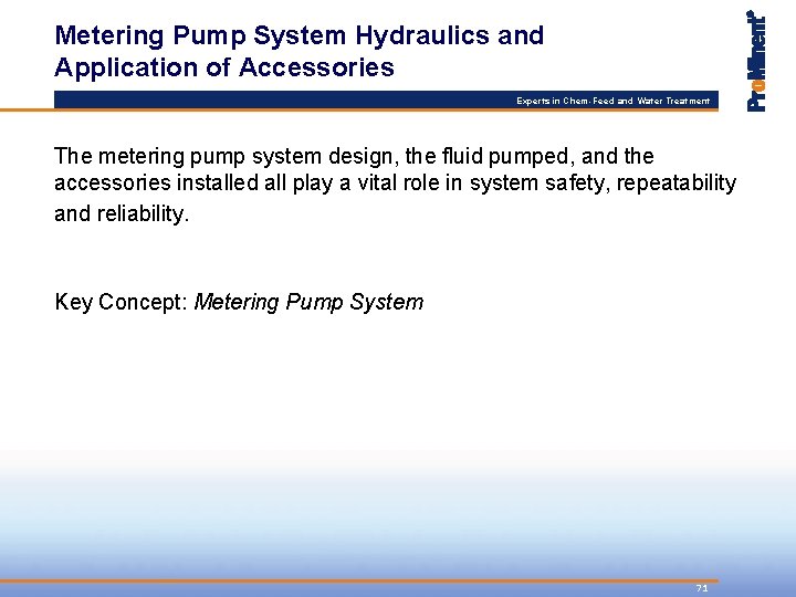Metering Pump System Hydraulics and Application of Accessories Experts in Chem-Feed and Water Treatment