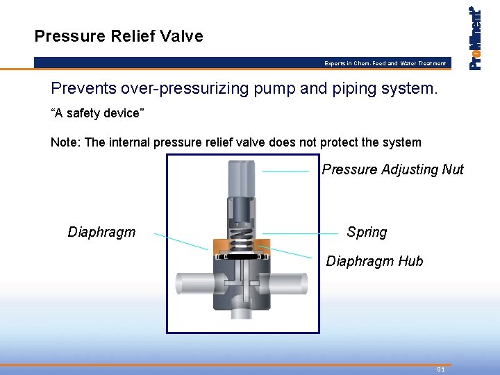 Pressure Relief Valve Experts in Chem-Feed and Water Treatment Prevents over-pressurizing pump and piping