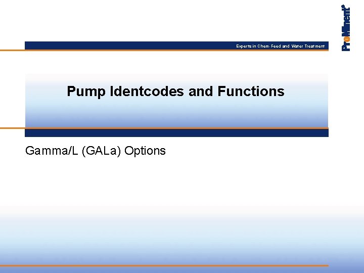 Experts in Chem-Feed and Water Treatment Pump Identcodes and Functions Gamma/L (GALa) Options 