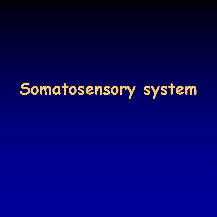 Somatosensory system 