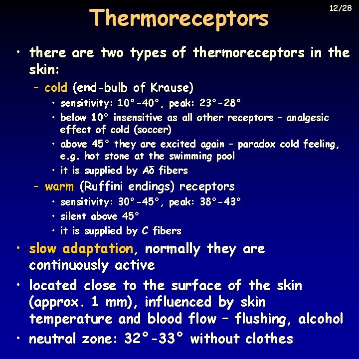 Thermoreceptors 12/28 • there are two types of thermoreceptors in the skin: – cold