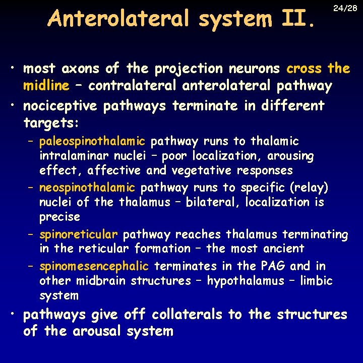 Anterolateral system II. 24/28 • most axons of the projection neurons cross the midline