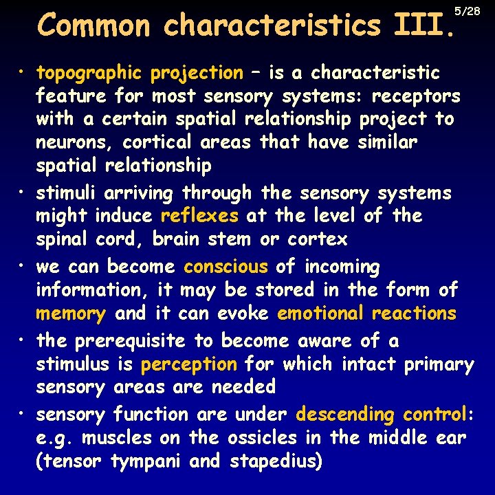 Common characteristics III. 5/28 • topographic projection – is a characteristic feature for most