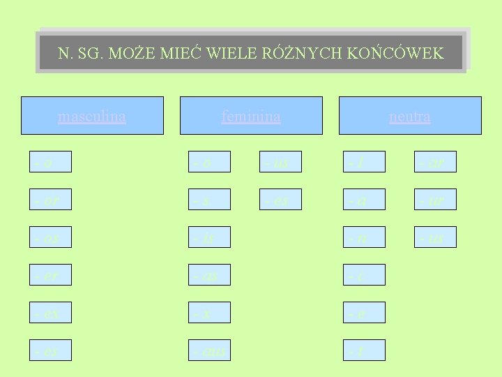 N. SG. MOŻE MIEĆ WIELE RÓŻNYCH KOŃCÓWEK masculina feminina neutra -o -o - us