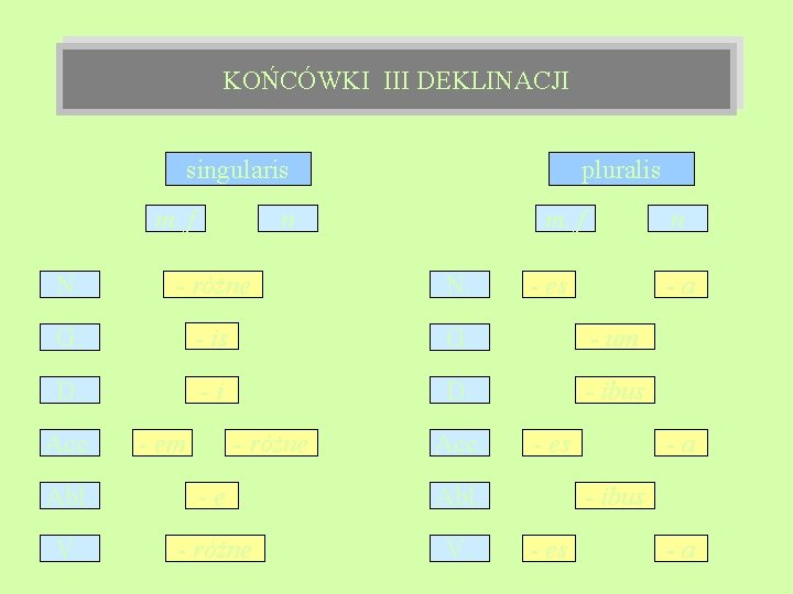 KOŃCÓWKI III DEKLINACJI singularis m, f pluralis n m, f n N. - różne