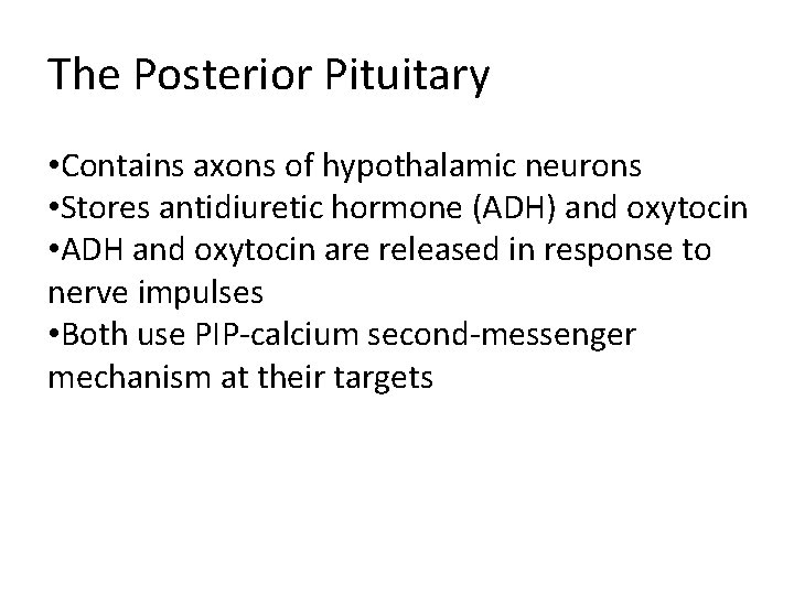 The Posterior Pituitary • Contains axons of hypothalamic neurons • Stores antidiuretic hormone (ADH)