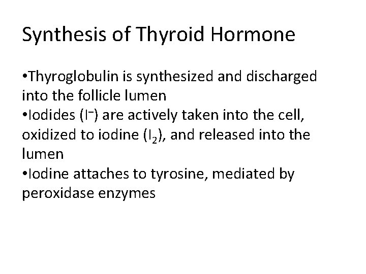 Synthesis of Thyroid Hormone • Thyroglobulin is synthesized and discharged into the follicle lumen