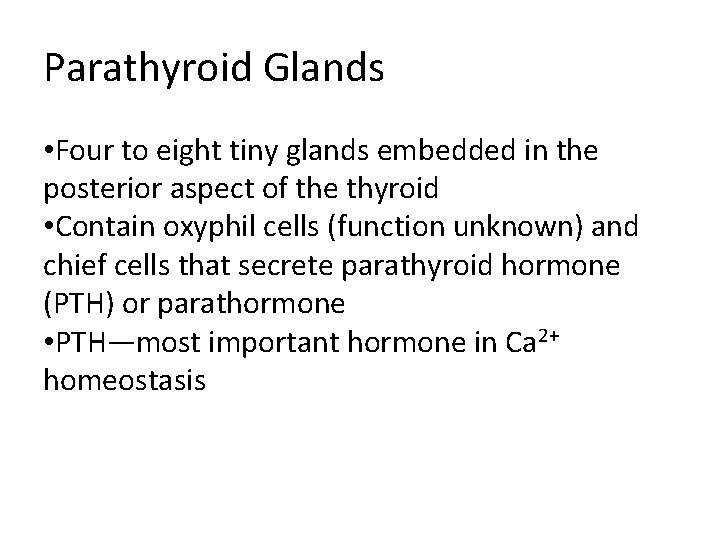 Parathyroid Glands • Four to eight tiny glands embedded in the posterior aspect of