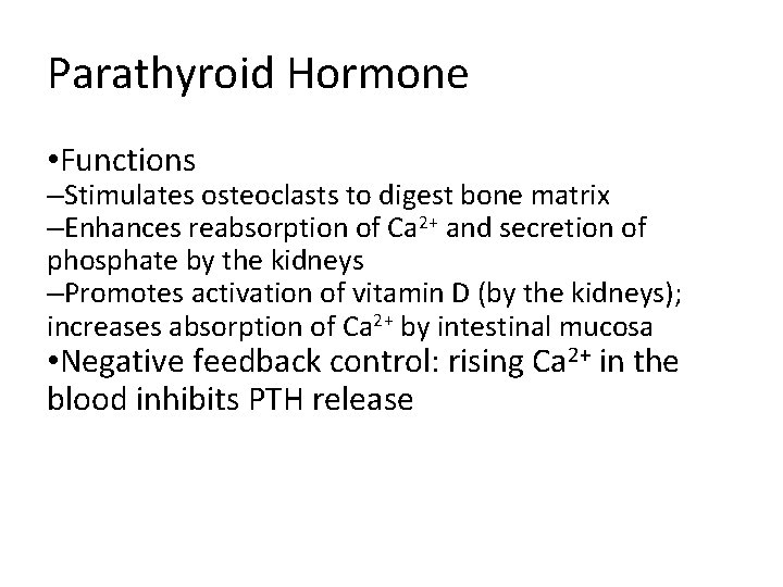 Parathyroid Hormone • Functions –Stimulates osteoclasts to digest bone matrix –Enhances reabsorption of Ca