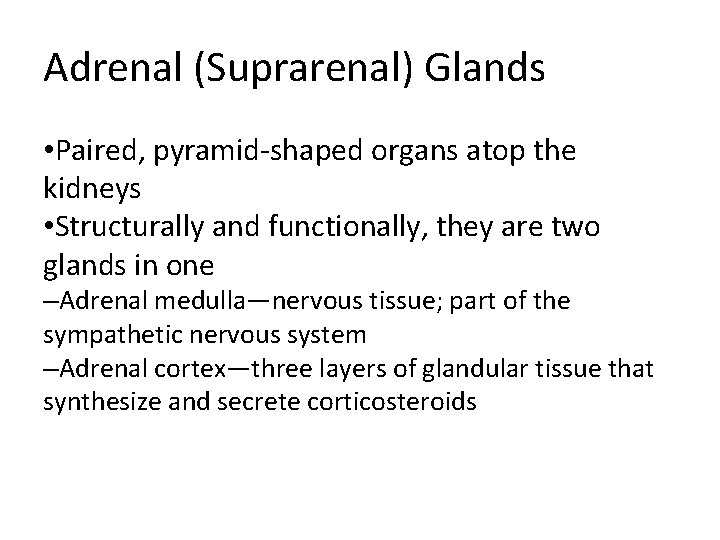 Adrenal (Suprarenal) Glands • Paired, pyramid-shaped organs atop the kidneys • Structurally and functionally,