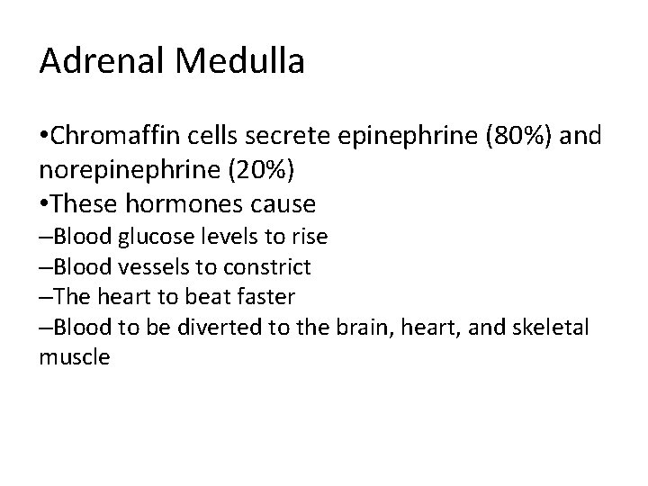 Adrenal Medulla • Chromaffin cells secrete epinephrine (80%) and norepinephrine (20%) • These hormones