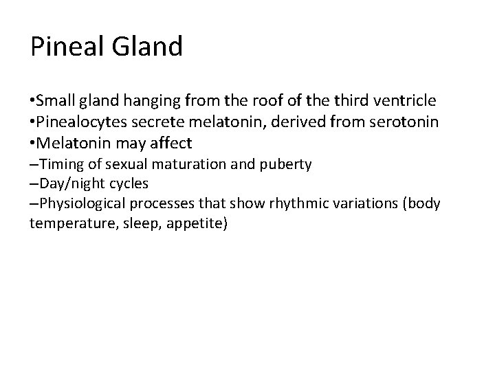 Pineal Gland • Small gland hanging from the roof of the third ventricle •